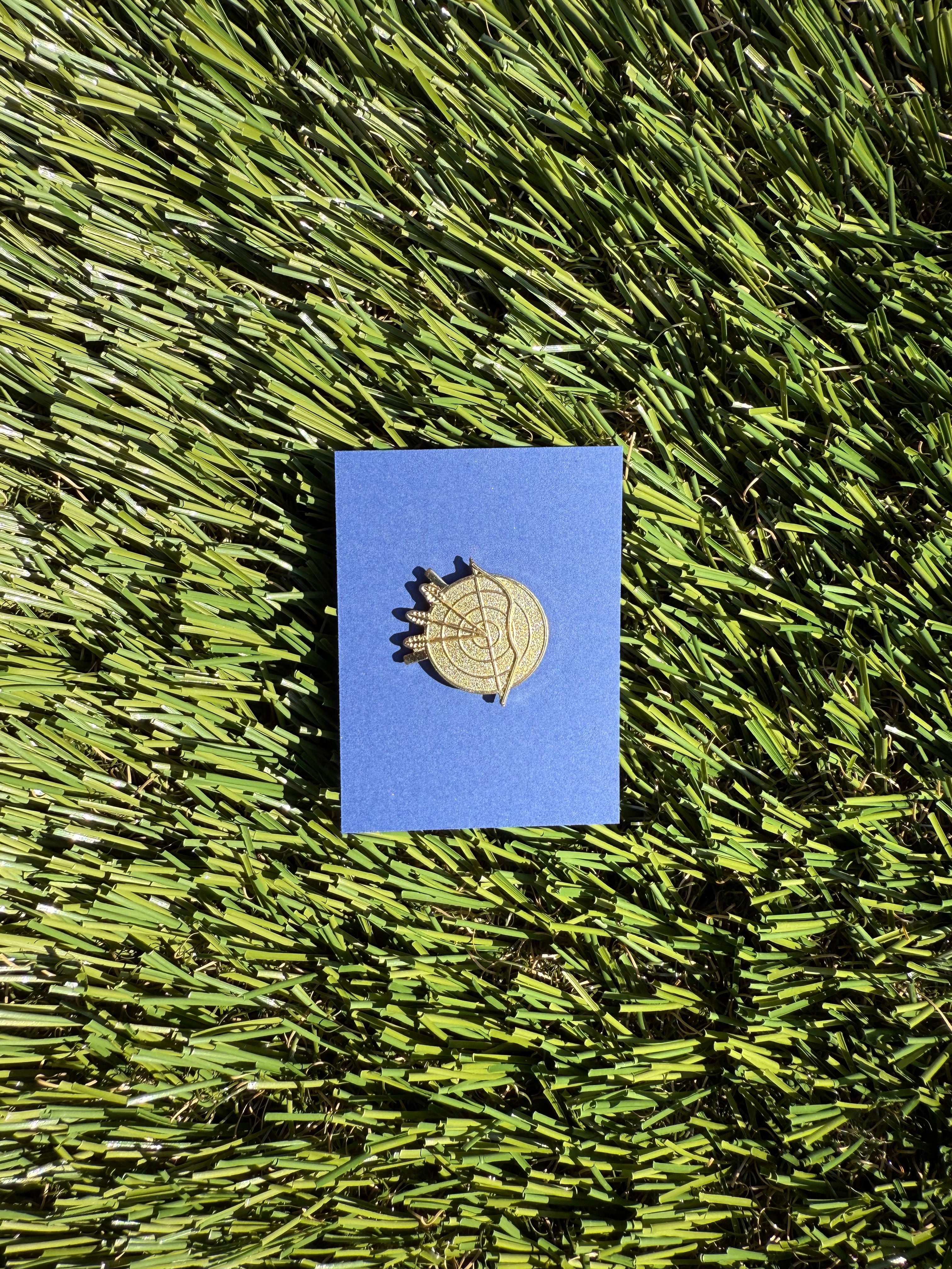 Activity Achievement Pins