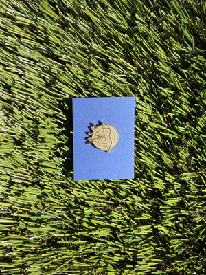 Activity Achievement Pins
