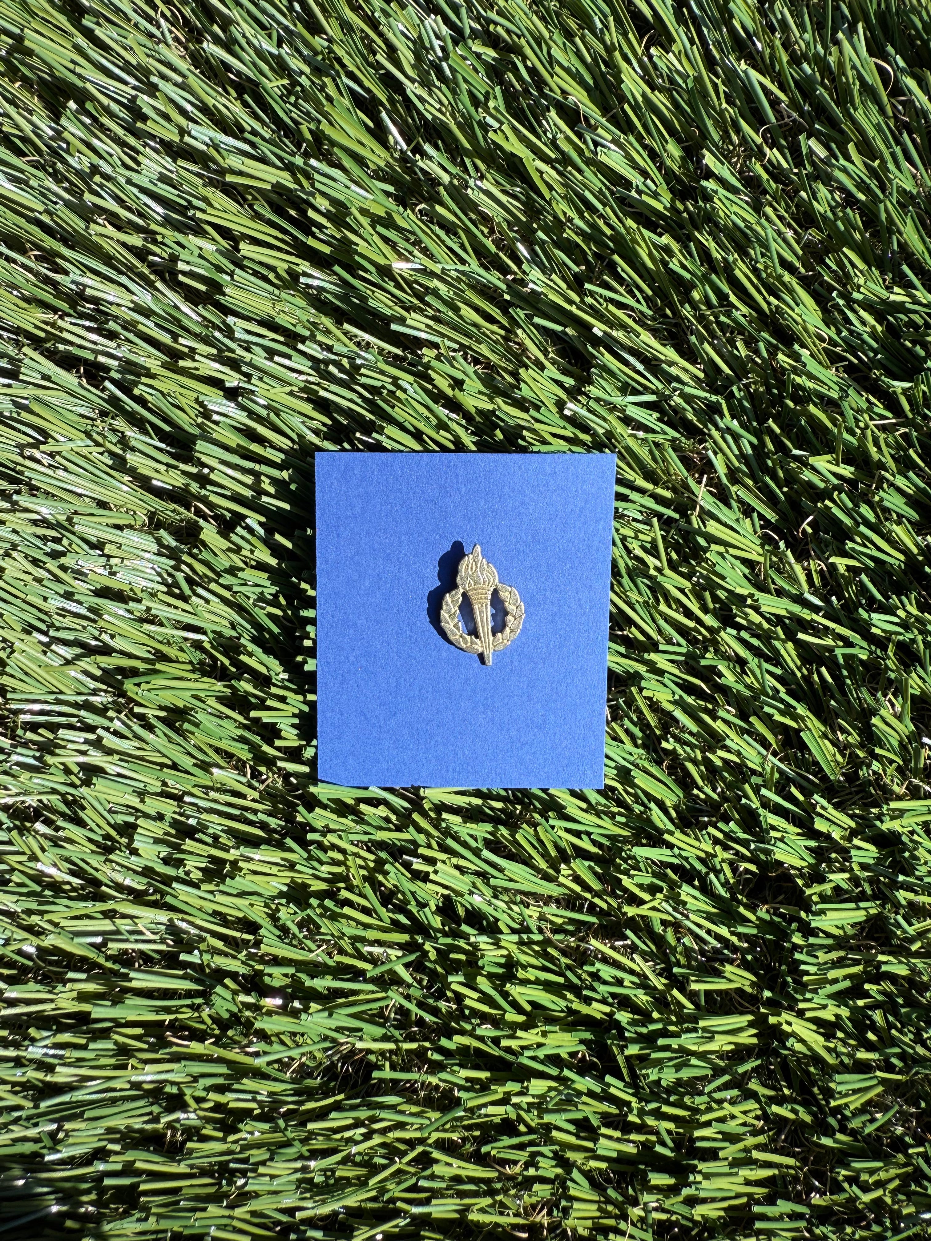 Elective Pins