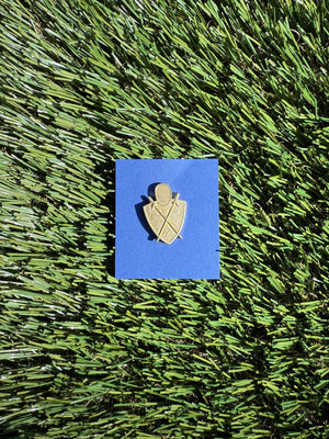 Activity Achievement Pins