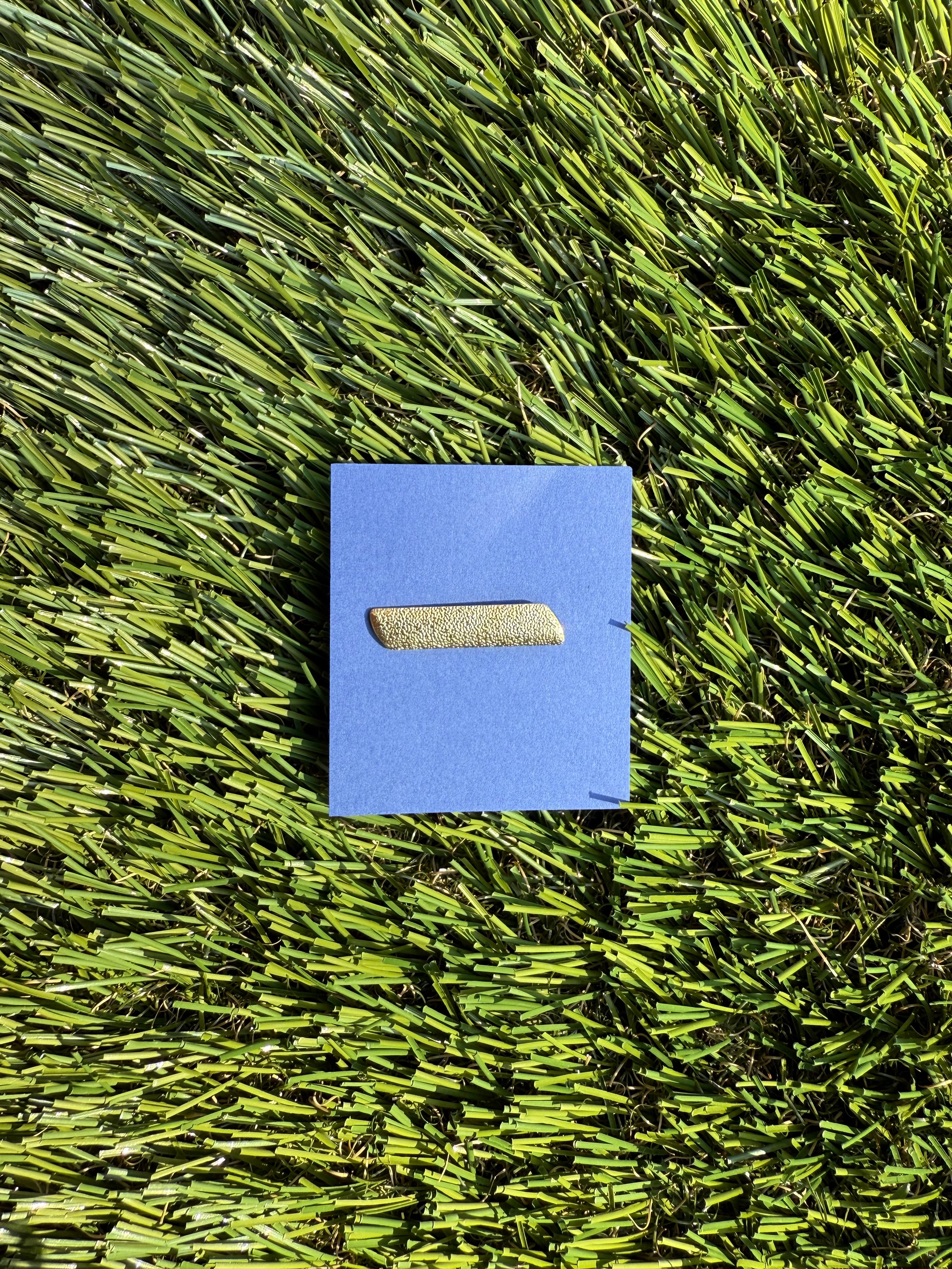 Activity Achievement Pins