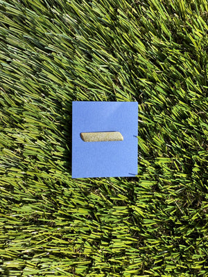 Activity Achievement Pins