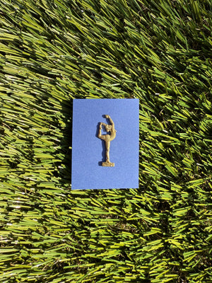Activity Achievement Pins