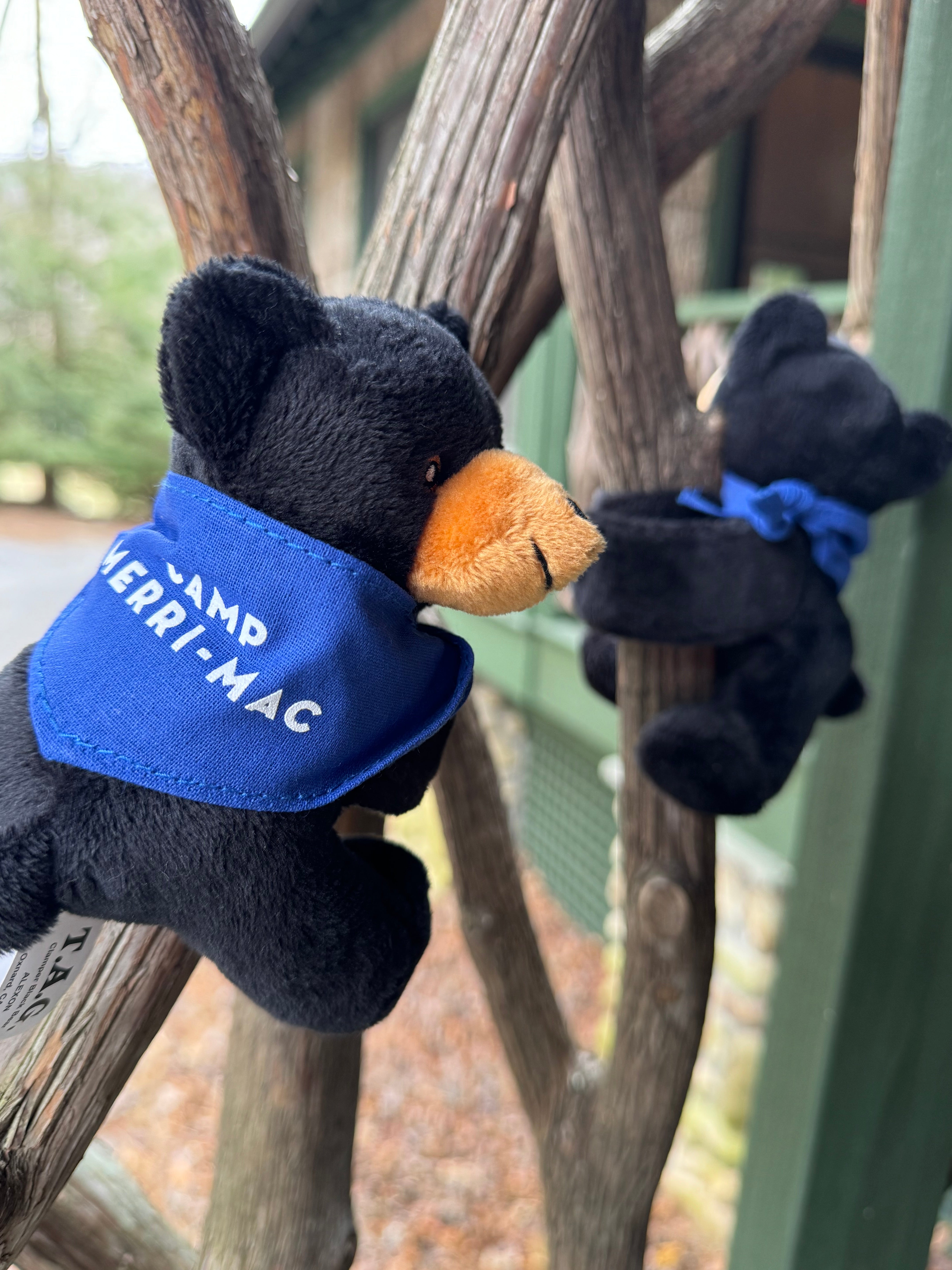 Merri-Pal - Bear