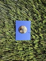 Activity Achievement Pins