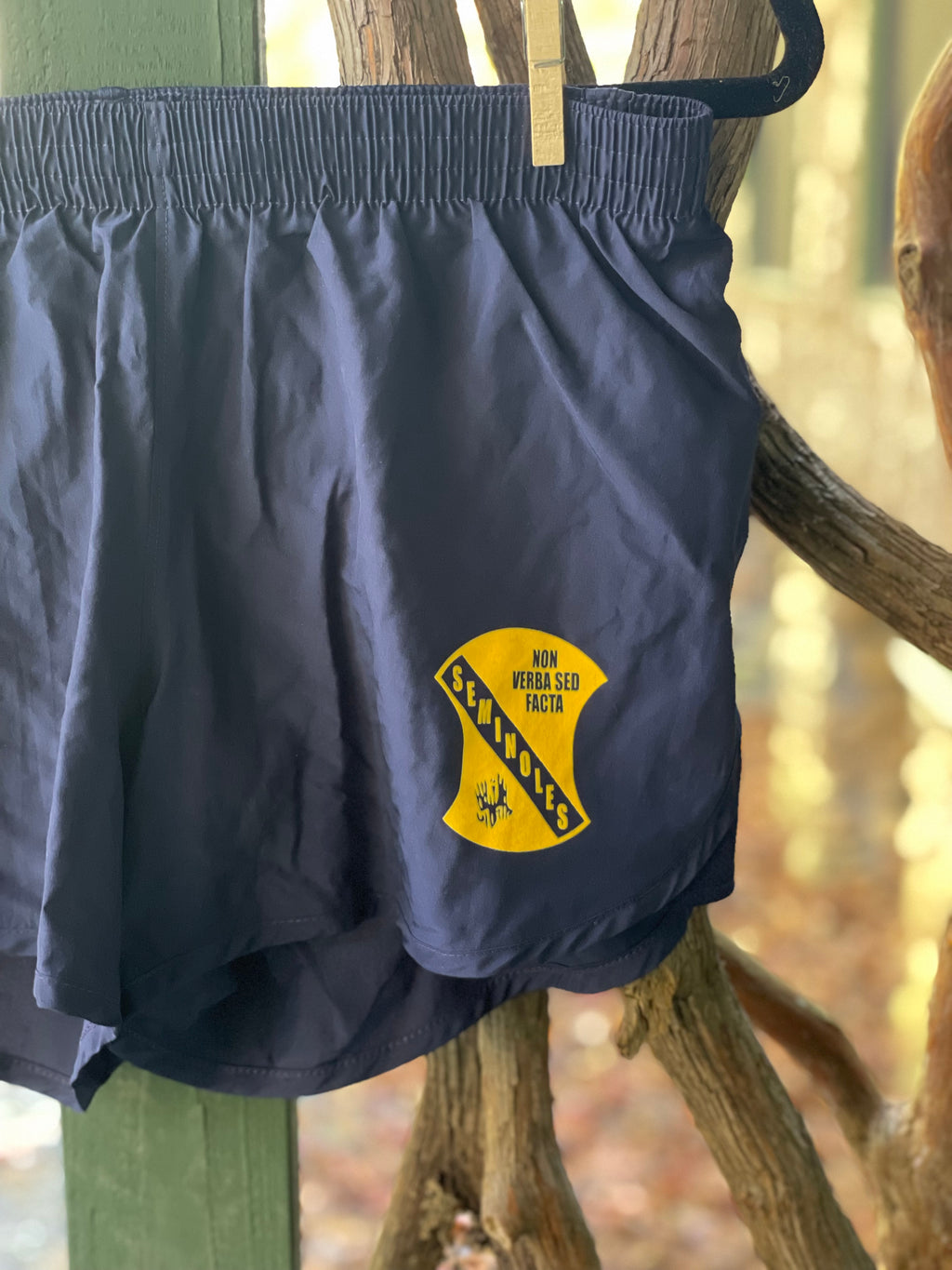 Retired Track Shorts - Seminole